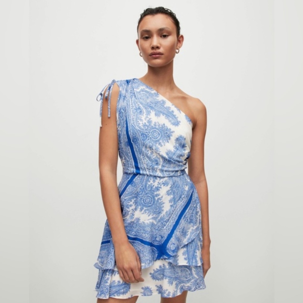 All Saints Cayla Rafaela Dress